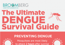 Infographic Dengue symptoms prevention and treatment