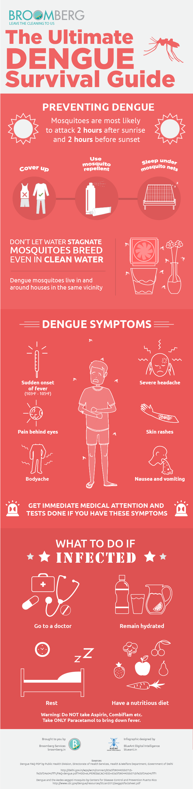 Infographic Dengue symptoms prevention and treatment