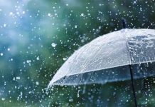 Heavy Rain Likely In Haryana, Delhi, Punjab, Himachal, J&K Till Mid-July; IMD Issues Weather Warning