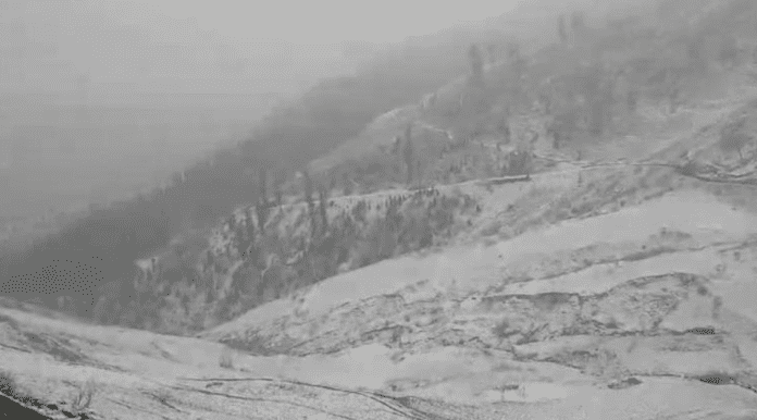 Fresh snowfall halts traffic on Gurez-Bandipora road