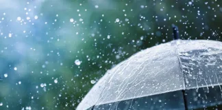 3-Day Wet Weather to bring rain, snowfall to J&K from Nov 30: MeT