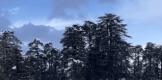 Season’s 1st snowfall brings joy to tourists in Patnitop, Nathatop & Sanasar