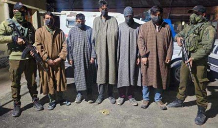 5 arrested for livestock theft in J&K’s Sopore 5 arrested for livestock theft in J&K’s Sopore