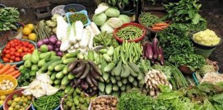 WPI inflation eases to 1.89 pc in November on softening food prices