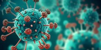 2 HMPV cases detected in Karnataka: ICMR