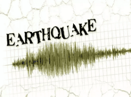 3.6-Magnitude Earthquake Jolts Baramulla; No Damage Reported
