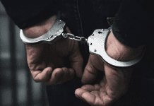 Punjab Police Bust Terror Plot, Arrest Two In Mohali