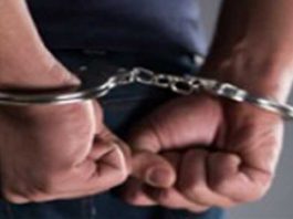 Punjab Police Bust Foreign-Linked Gangster Module, Arrest Three