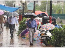 India May Receive Below Normal Monsoon Rainfall This Year: IMD