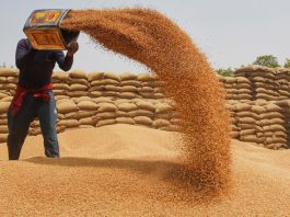 Centre hikes wheat reserve price by 10.86%, rice by 3% under OMSS