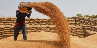 Centre hikes wheat reserve price by 10.86%, rice by 3% under OMSS
