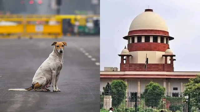 SC
