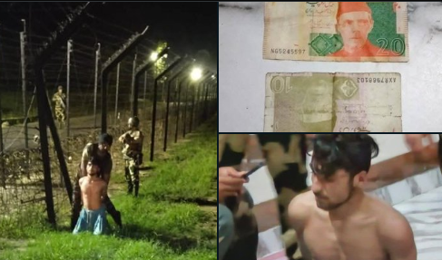 BSF