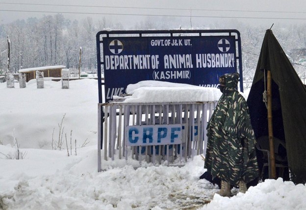 CRPF