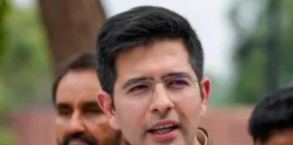 Raghav Chadha Appointed Chairman Of Rajya Sabha Committee On Petitions