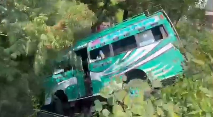 Bus