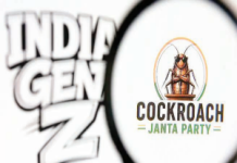 Cockroach Politics and the limits of public anger Anna Hazare stir’s endgame not at all reassuring