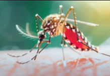 Medical experts are apprehensive on Dengue upsurge in South Asian countries in 2026