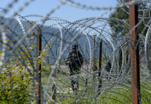 Pak Intruder Apprehended Along Int’l Border In Jammu