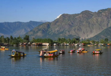 Heavy metals found in Kashmir water chestnuts, Dal Lake most contaminated: Study