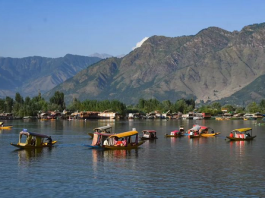 Heavy metals found in Kashmir water chestnuts, Dal Lake most contaminated: Study