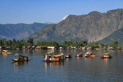 Heavy metals found in Kashmir water chestnuts, Dal Lake most contaminated: Study