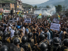 PoJK protests: JKHRO alleges civilian killings, curfew, mass arrests by Pak forces