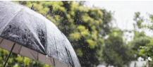 Rain, thunderstorms likely across J&K till Jul 5
